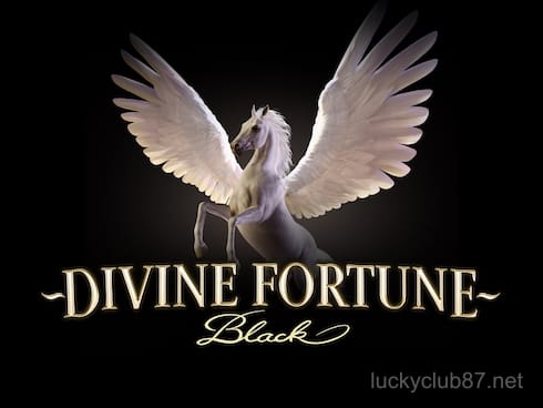 Divine Fortune Black